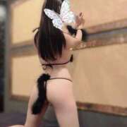 ヒメ日記 2026/02/04 18:17 投稿 さくら TOKYO BUNNYS CLUB