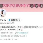 ヒメ日記 2026/02/07 14:33 投稿 さくら TOKYO BUNNYS CLUB