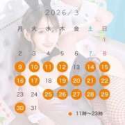 ヒメ日記 2026/03/09 18:23 投稿 さくら TOKYO BUNNYS CLUB