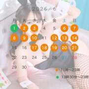 ヒメ日記 2026/06/01 10:13 投稿 さくら TOKYO BUNNYS CLUB