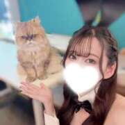 ヒメ日記 2026/08/07 20:23 投稿 さくら TOKYO BUNNYS CLUB