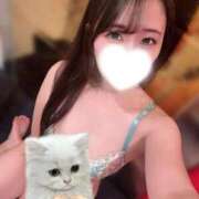 ヒメ日記 2026/08/24 23:16 投稿 さくら TOKYO BUNNYS CLUB