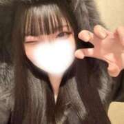 みや※完全業界未経験♪ もこもこです❄️ きらめけ！にゃんにゃん学園in大宮