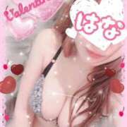 ヒメ日記 2026/02/12 14:03 投稿 ☆はな奥様 club生奥様～福島店～