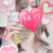 ヒメ日記 2026/02/12 17:33 投稿 ☆はな奥様 club生奥様～福島店～