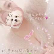 ヒメ日記 2026/03/12 23:36 投稿 ☆はな奥様 club生奥様～福島店～