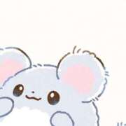 ヒメ日記 2026/02/27 01:25 投稿 のん ぐっすり山田 横浜店