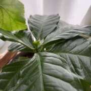 ヒメ日記 2026/01/08 14:07 投稿 聖子 越谷熟女デリヘル マダムエプロン