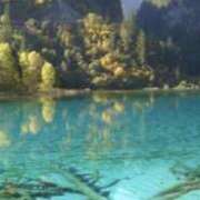 ヒメ日記 2026/02/01 00:02 投稿 聖子 越谷熟女デリヘル マダムエプロン