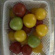 ヒメ日記 2026/02/19 19:18 投稿 聖子 越谷熟女デリヘル マダムエプロン