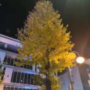 ヒメ日記 2025/12/18 21:16 投稿 一ノ瀬りあ Aroma Resort(熊本)