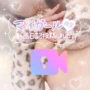 ヒメ日記 2026/02/09 17:17 投稿 上野みお 五十路マダム 沼津店(カサブランカグループ)