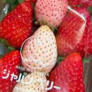 ヒメ日記 2026/02/25 15:03 投稿 上野みお 五十路マダム 沼津店(カサブランカグループ)