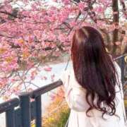 ヒメ日記 2026/02/26 16:31 投稿 上野みお 五十路マダム 沼津店(カサブランカグループ)