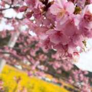 ヒメ日記 2026/03/04 17:03 投稿 上野みお 五十路マダム 沼津店(カサブランカグループ)