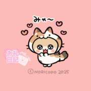 ヒメ日記 2025/12/18 00:01 投稿 ネコ マテリアル