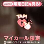 ヒメ日記 2025/12/19 16:46 投稿 ネコ マテリアル