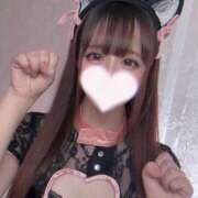 ヒメ日記 2025/12/20 10:01 投稿 ネコ マテリアル