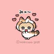 ヒメ日記 2025/12/20 12:46 投稿 ネコ マテリアル