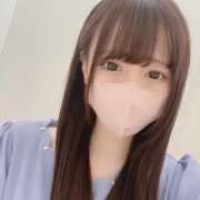 ネコ 出勤しました? マテリアル