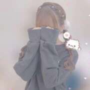 ヒメ日記 2025/12/31 09:46 投稿 ネコ マテリアル