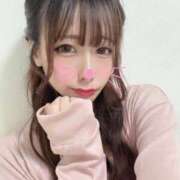 ヒメ日記 2025/12/31 23:01 投稿 ネコ マテリアル