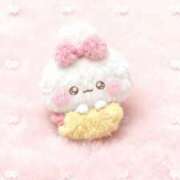 ヒメ日記 2026/01/26 14:31 投稿 ネコ マテリアル