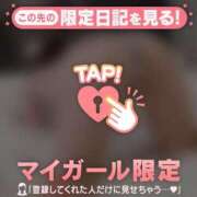 ヒメ日記 2026/01/28 11:16 投稿 ネコ マテリアル