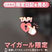 ヒメ日記 2026/02/02 06:46 投稿 ネコ マテリアル