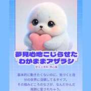 ヒメ日記 2026/02/03 08:31 投稿 ネコ マテリアル