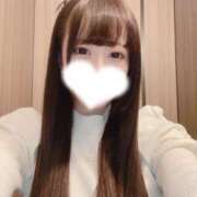 ヒメ日記 2026/02/03 08:46 投稿 ネコ マテリアル