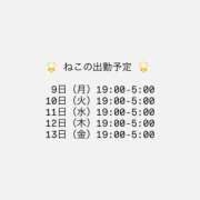 ヒメ日記 2026/02/03 11:01 投稿 ネコ マテリアル