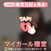 ヒメ日記 2026/02/03 11:46 投稿 ネコ マテリアル