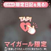 ヒメ日記 2026/02/05 07:46 投稿 ネコ マテリアル