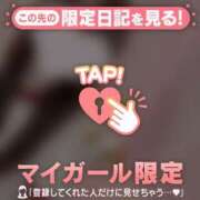 ヒメ日記 2026/02/06 11:31 投稿 ネコ マテリアル