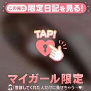 ヒメ日記 2026/02/07 12:46 投稿 ネコ マテリアル