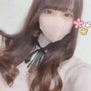 ヒメ日記 2026/02/07 15:16 投稿 ネコ マテリアル