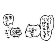 ヒメ日記 2026/02/08 19:16 投稿 ネコ マテリアル