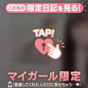 ヒメ日記 2026/02/09 12:31 投稿 ネコ マテリアル