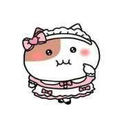 ヒメ日記 2026/03/25 23:46 投稿 ネコ マテリアル