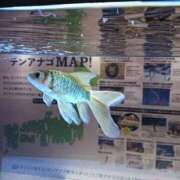 ヒメ日記 2026/01/17 23:02 投稿 ねいろ 熟女の風俗最終章 池袋店