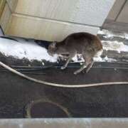 ヒメ日記 2026/01/22 15:08 投稿 もが『Jカップ』 ぽよぽよランド