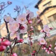 ヒメ日記 2026/03/17 13:55 投稿 りら AVANCE福岡