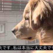 ぴょんあげうさ すみません‪🥲😭 にゃんだ☆full☆MIX（にゃんだふるみっくす）