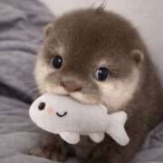 ゆいな えっちなゆいな、独り占めしに来て…？💕 千葉中央人妻援護会