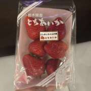 ヒメ日記 2026/04/25 14:45 投稿 れのん 姫コレクション