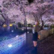 ヒメ日記 2025/12/29 02:47 投稿 柏木　りほ ナディア名古屋店