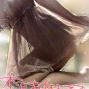 ヒメ日記 2026/02/13 12:56 投稿 さや Ravires(ラヴィリス)