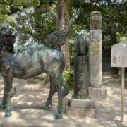 ヒメ日記 2026/01/04 09:30 投稿 まり 錦糸町人妻セレブリティ（ユメオト）