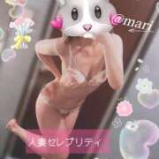 ヒメ日記 2026/02/02 18:08 投稿 まり 錦糸町人妻セレブリティ（ユメオト）